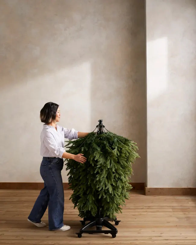 Posicionamento da base Flip Tree no ambiente de montagem